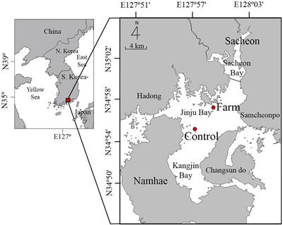 Phosphorus Dynamics Associated With Organic Carbon Mineralization by Reduction of Sulfate and Iron in Sediment Exposed to Fish Farming